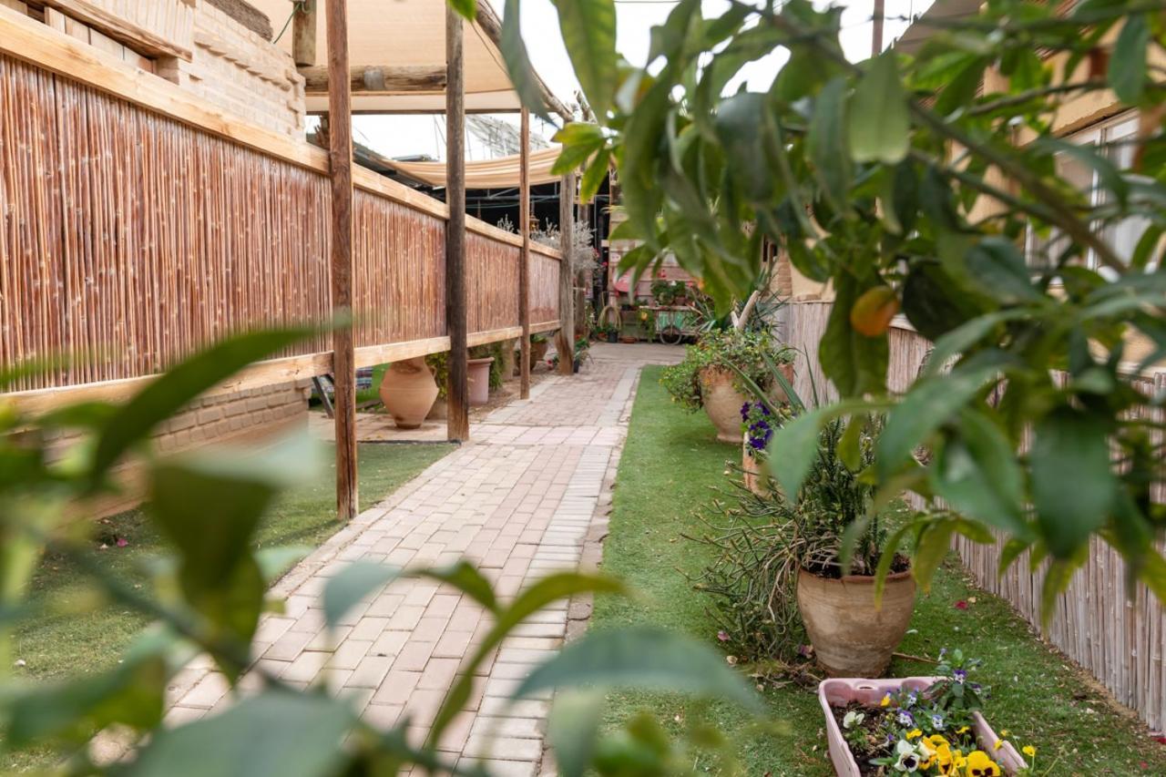 Desert Routes Inn Shvilim Ba Midbar Hazeva Buitenkant foto