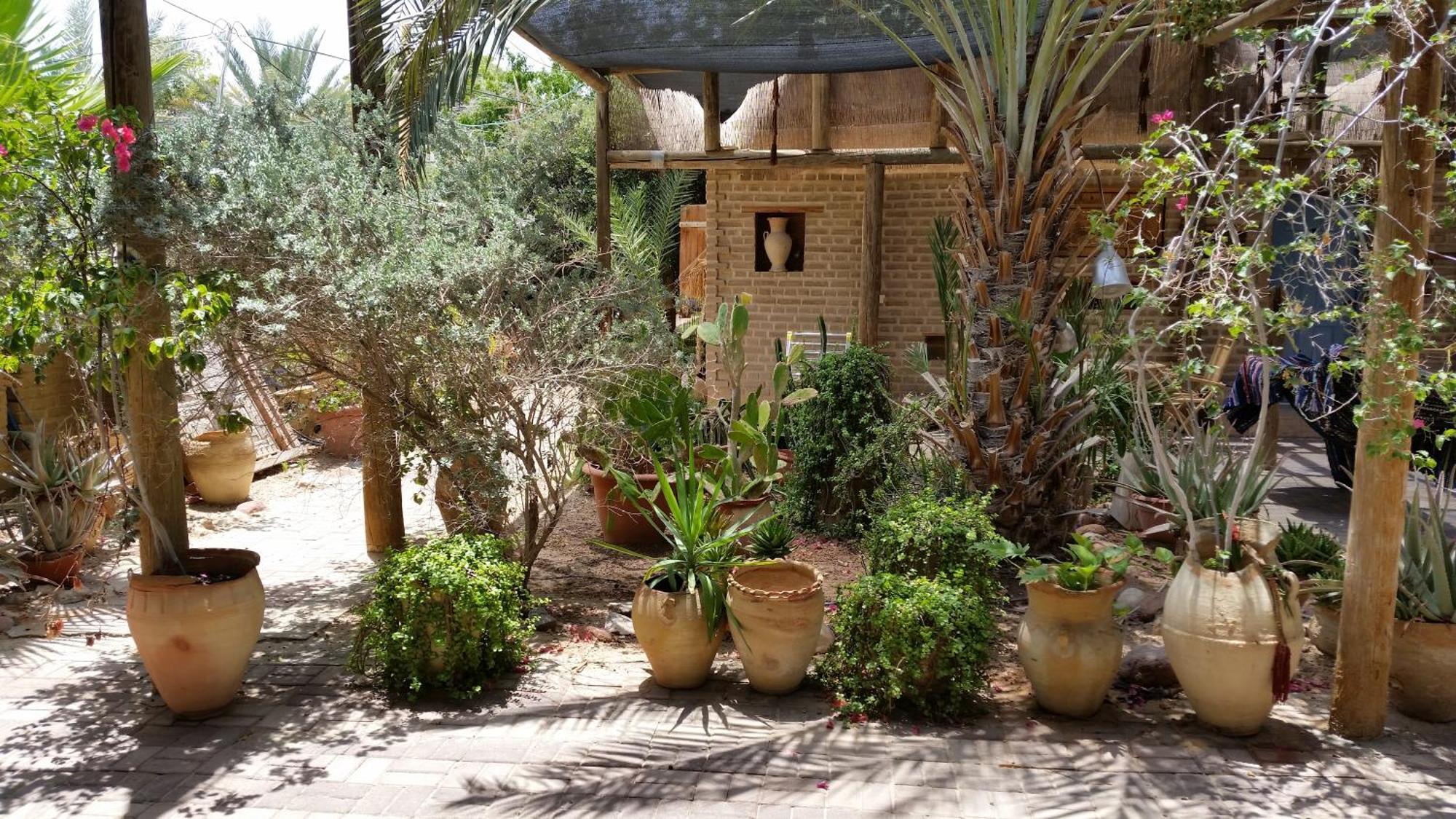 Desert Routes Inn Shvilim Ba Midbar Hazeva Buitenkant foto
